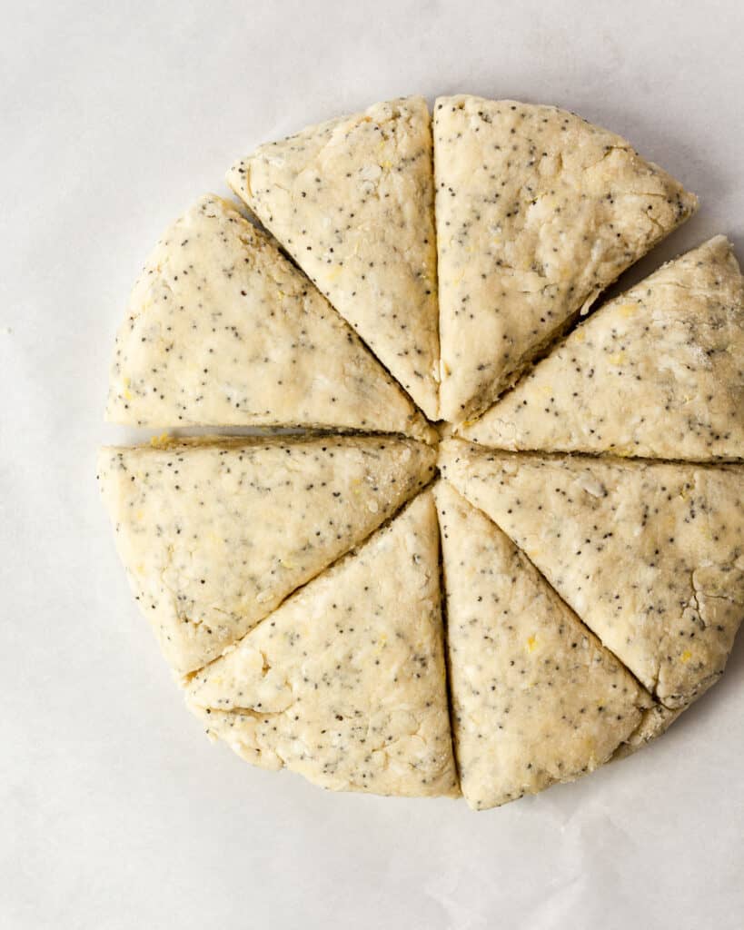 round disc of scone dough cut into 8 equal triangles.