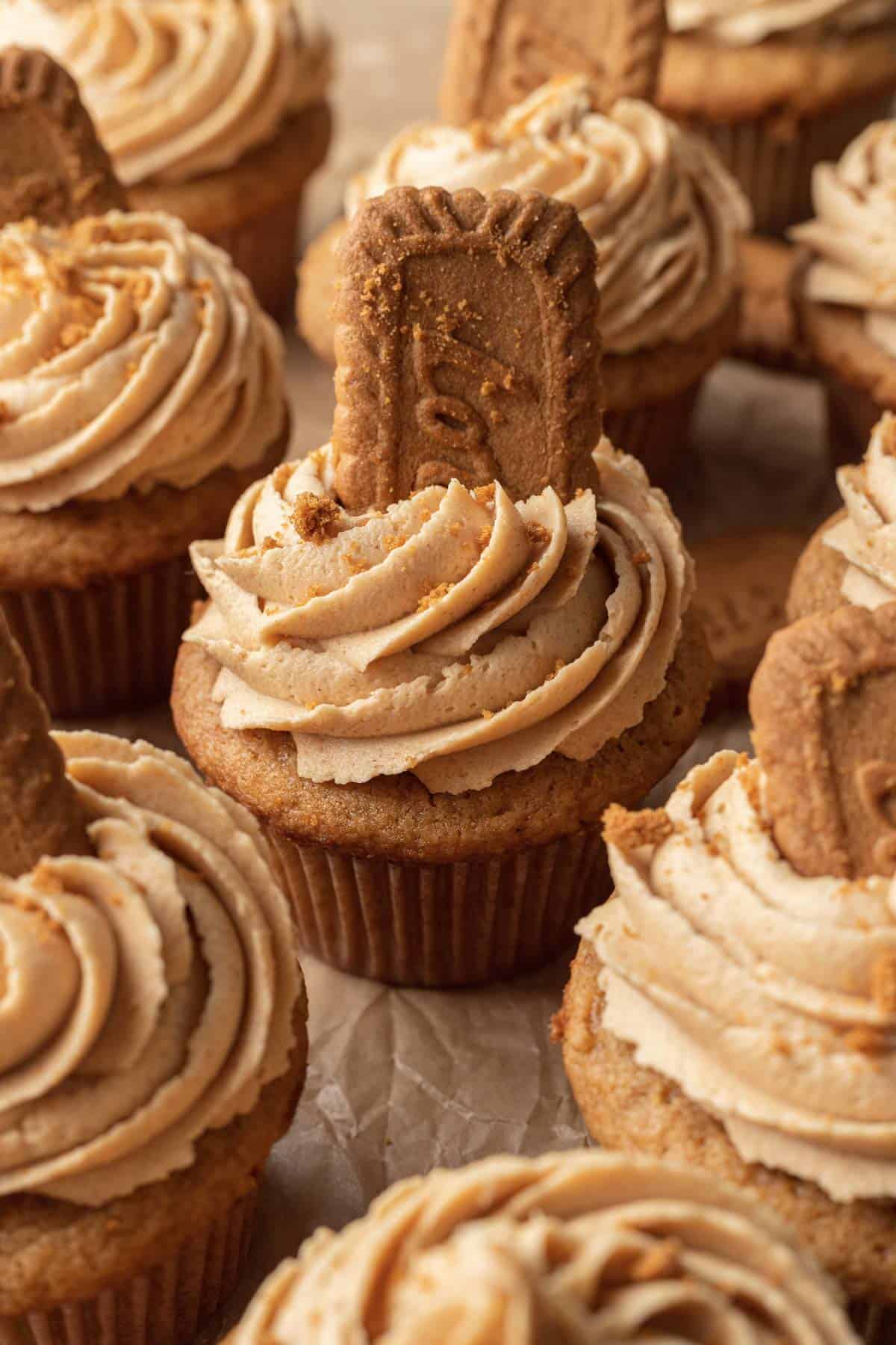 Fresh batch of baked Biscoff Cupcakes sitting on counter top, and are freshly iced with a Biscoff cookie sitting on top.
