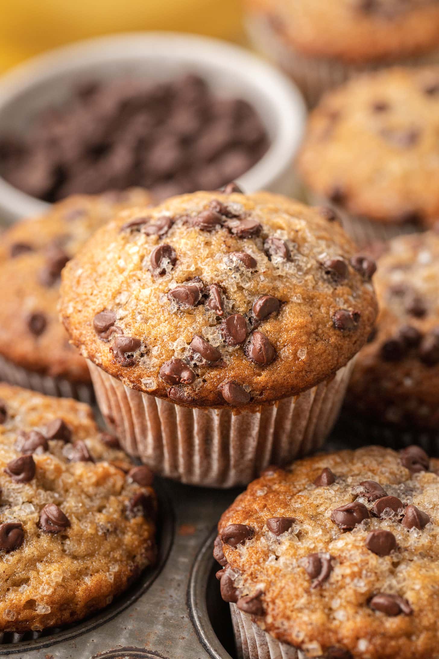 Close-up of banana chocolate chip muffins in a muffin tin, with chocolate chips sprinkled on top and in a bowl.